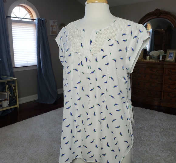 Daniel Rainn Tops - NWT Daniel Rainn Estafany lace detail blouse